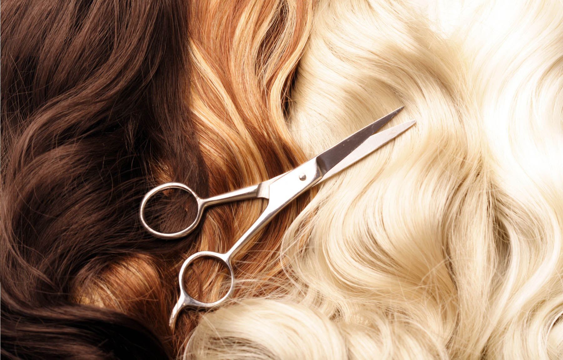 Trasforma il tuo look con tagli, colori e cure professionali